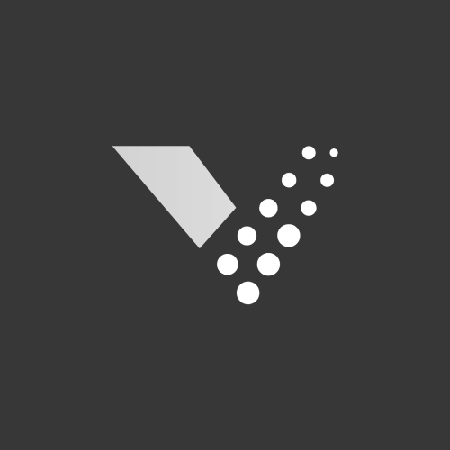 Logo VeloCity
