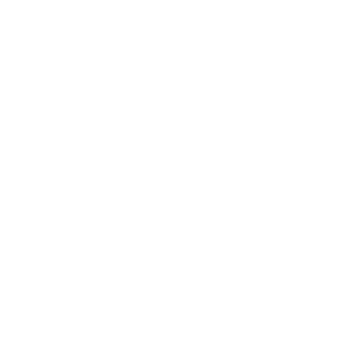 Logo Leadfox