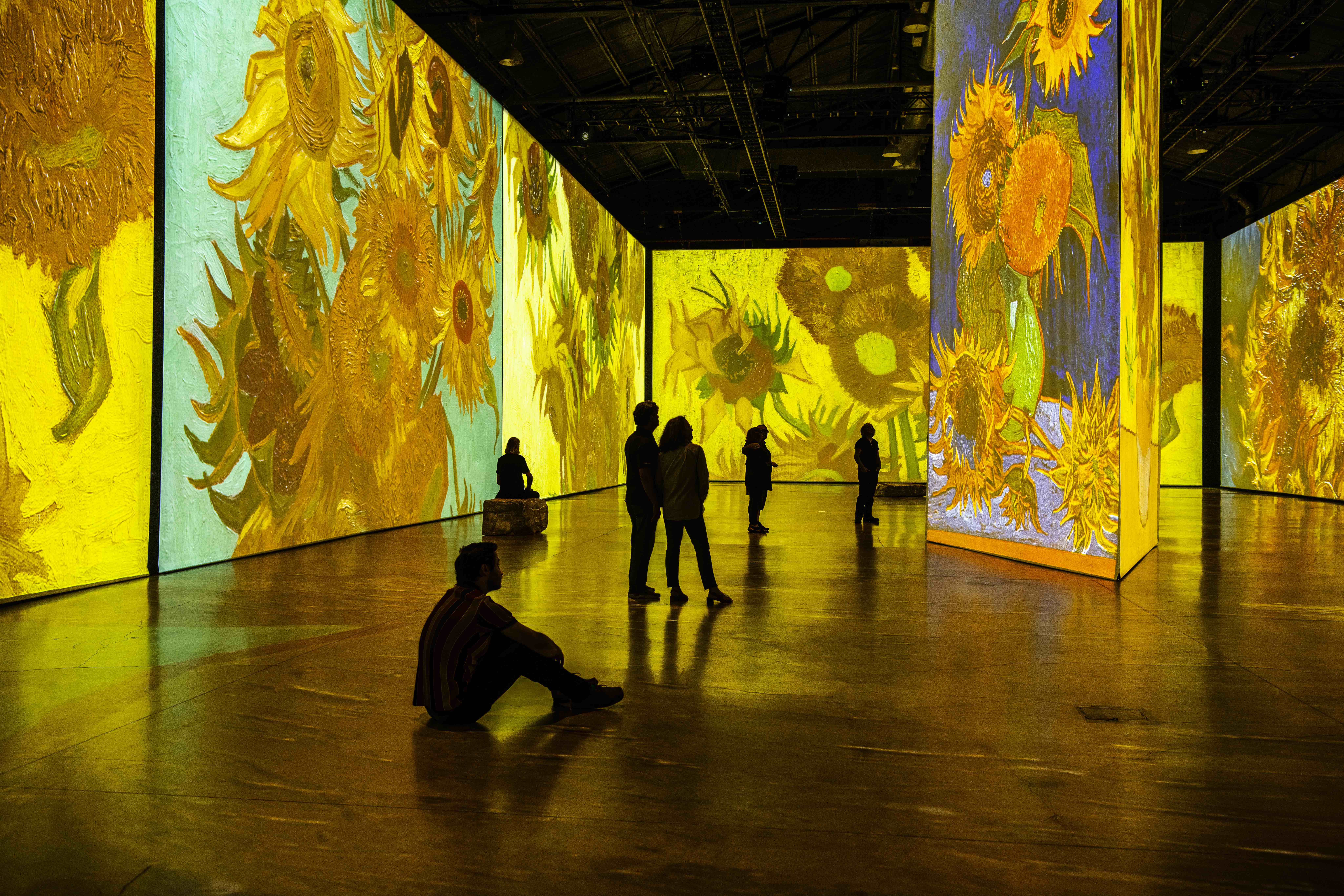Van Gogh: The Immersive Experience - Toulouse Photos IMAGINE VAN GOGH The Immersive Exhibition