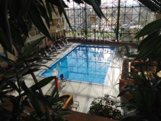 Piscine intérieure du DoubleTree by Hilton Newark Penn Station, entourée de végétation, avec de grandes baies vitrées laissant entrer la lumière naturelle et des chaises longues disposées autour du bassin.