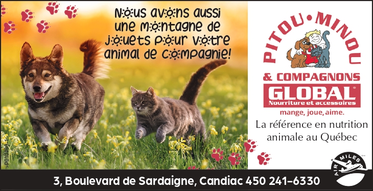 Global Pitou Minou et Compagnons