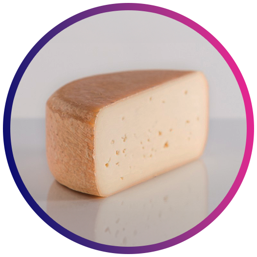1x Tomme “Via Francigena”