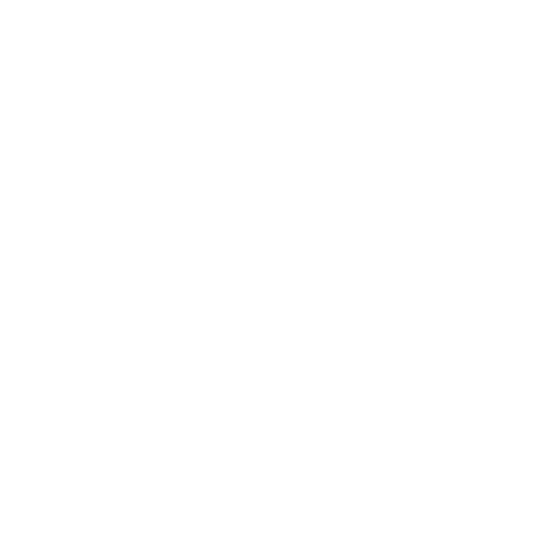 Logo Leadfox