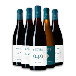 Dotations : bouteilles de vins