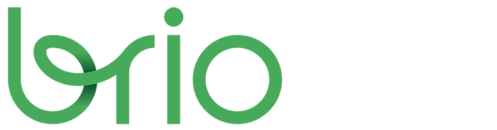 Logo Brio PAE
