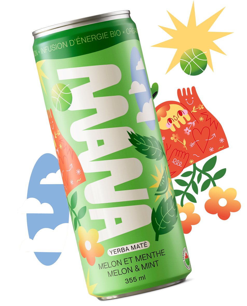 Mana Yerba Maté : canette 355 ml saveur melon et menthe