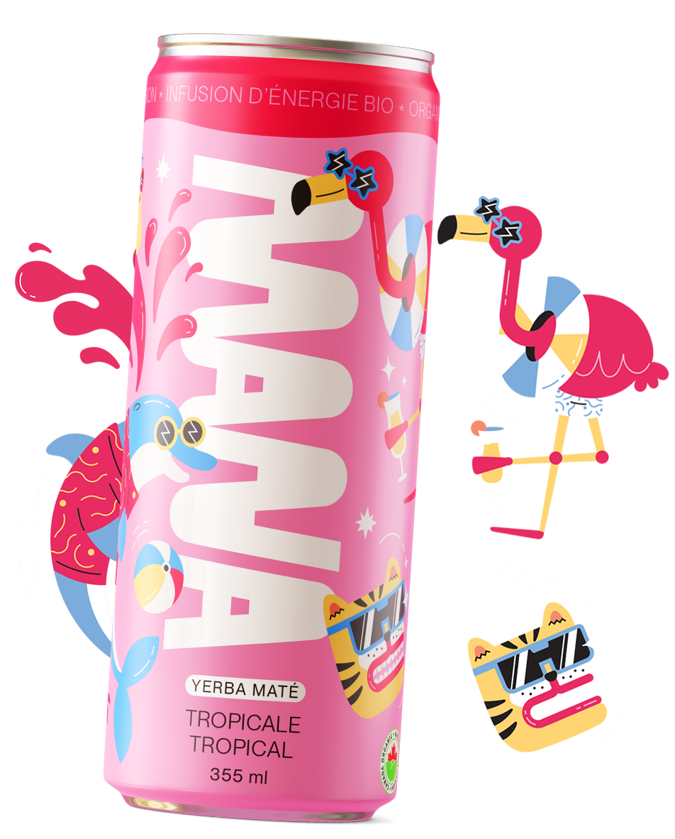 Mana Yerba Maté : canette 355 ml saveur tropicale