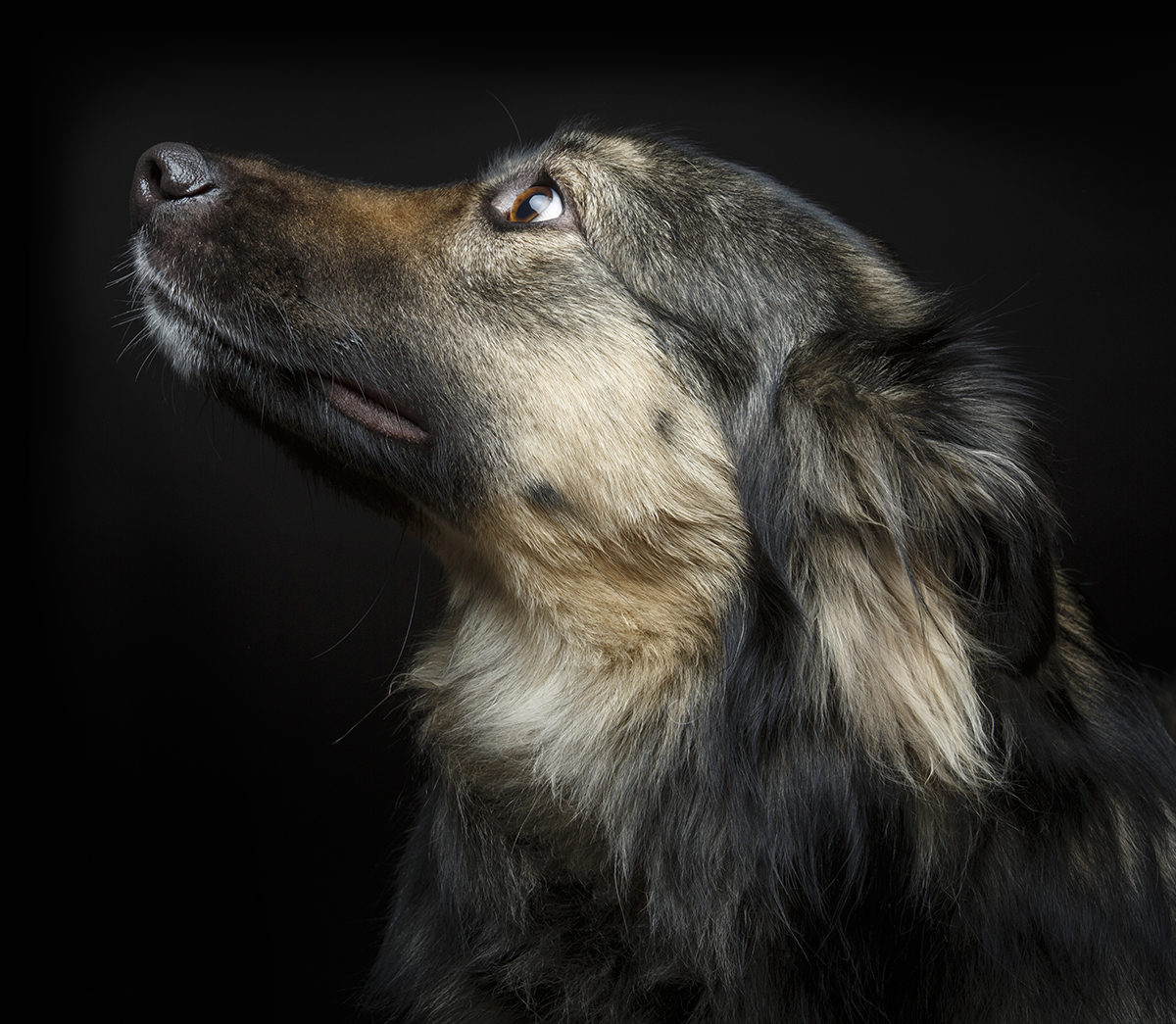 Aliments Crus Grenier