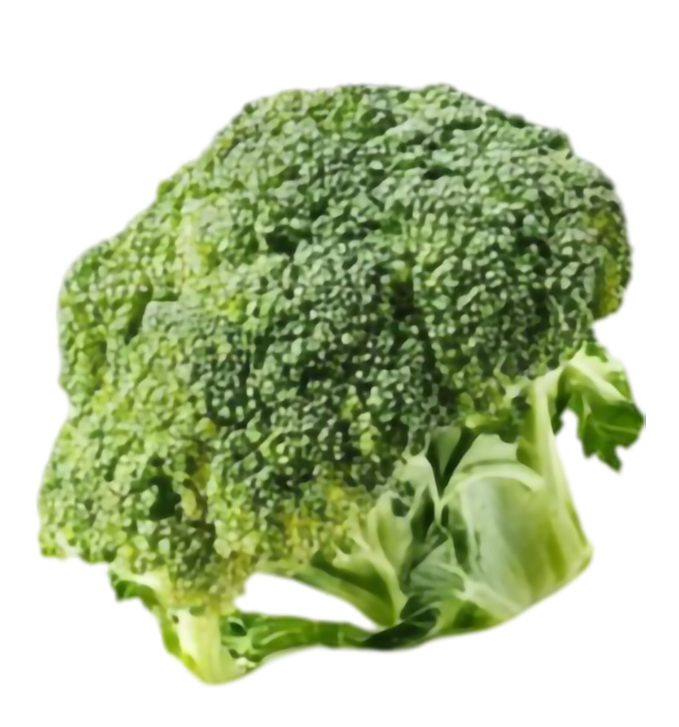 Pépinière Locas : Les fiches techniques complètes