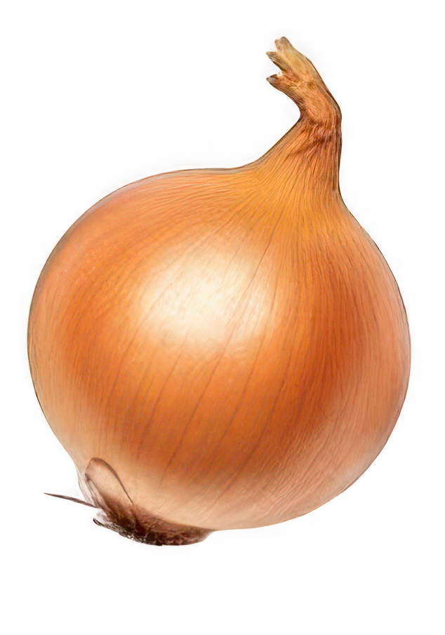 Pépinière Locas : Le calendrier complet du jardinier