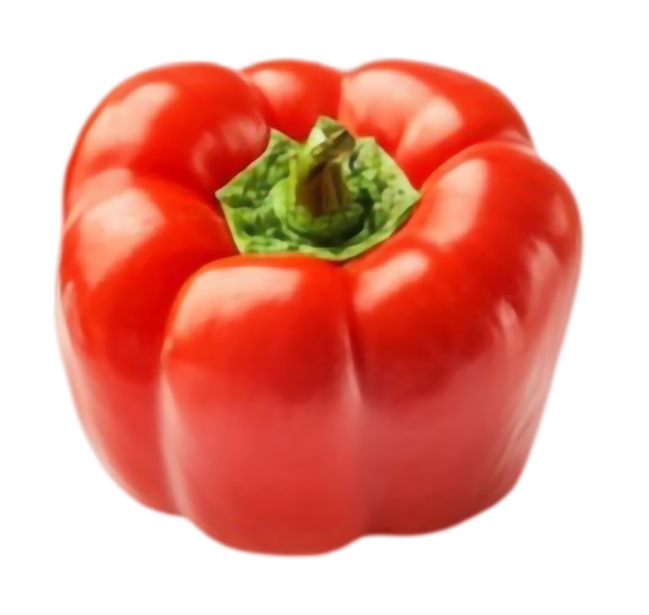 Pépinière Locas : Des méthodes biologiques éprouvées